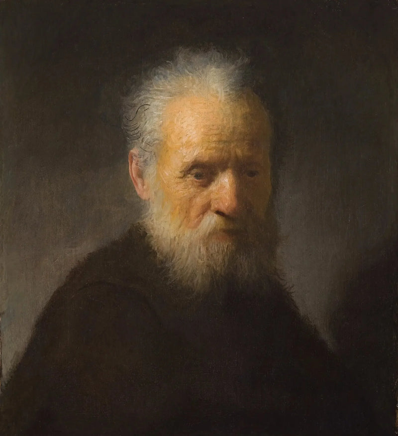 Bust of an old bearded man - Rembrandt