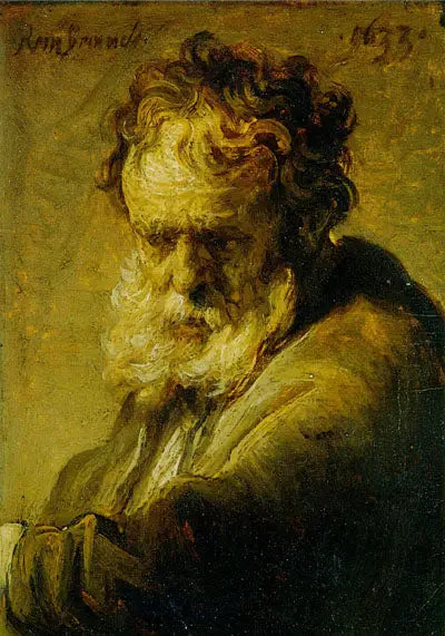 Bust of an old bearded man - Rembrandt