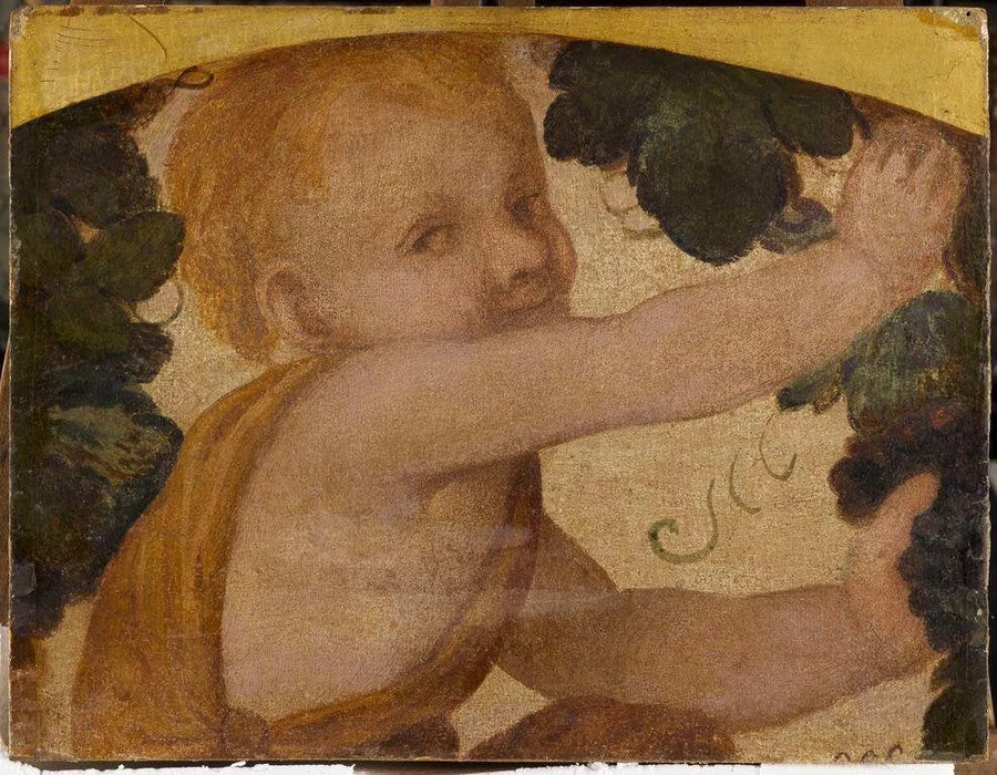 Putto bust in the grapevines - Bernardino Luini