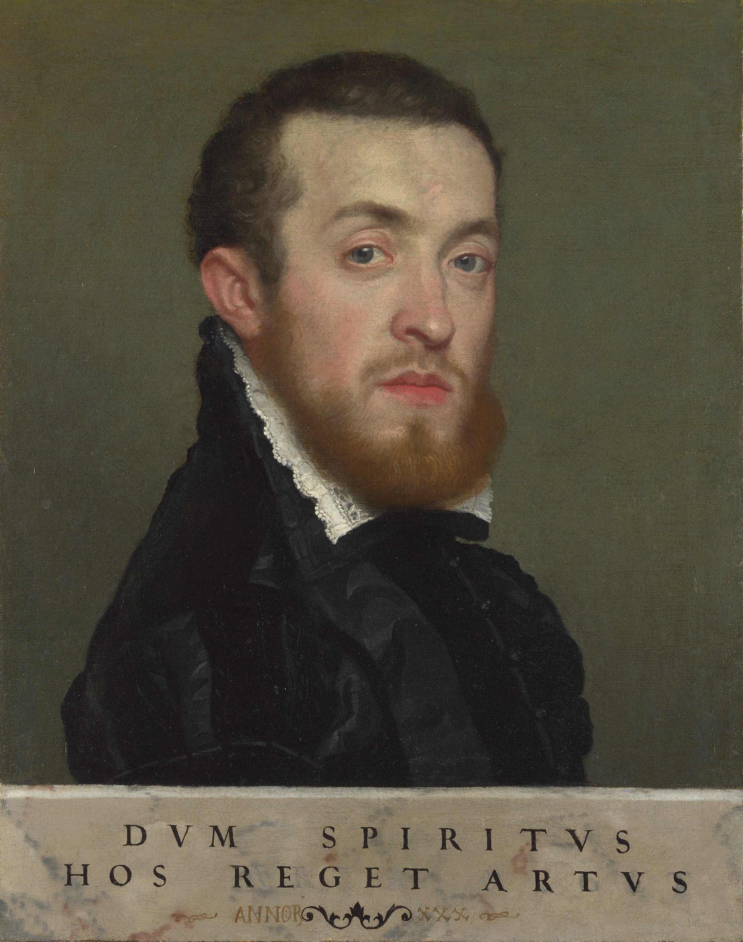 Buste d’un jeune homme avec une inscription - Giovanni Battista Moroni - Alpha Reproduction