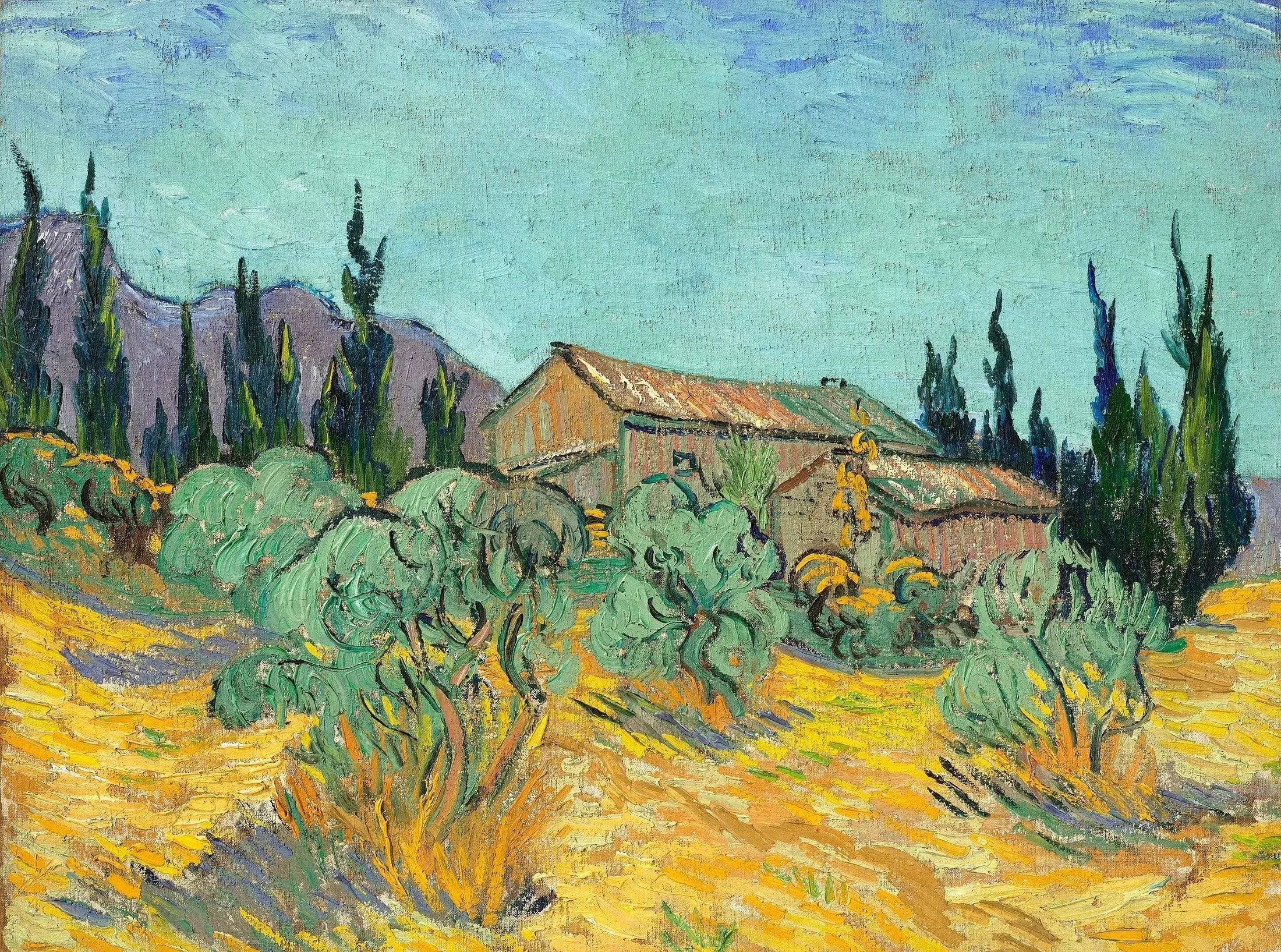 Cabanes de bois parmi les oliviers et cyprès - Vincent van Gogh image 1 reproduction réalisée par Alpha Reproduction
