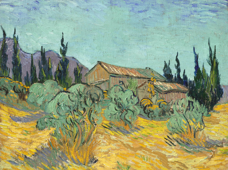 Wooden huts among the olive trees and cypress - Vincent van Gogh