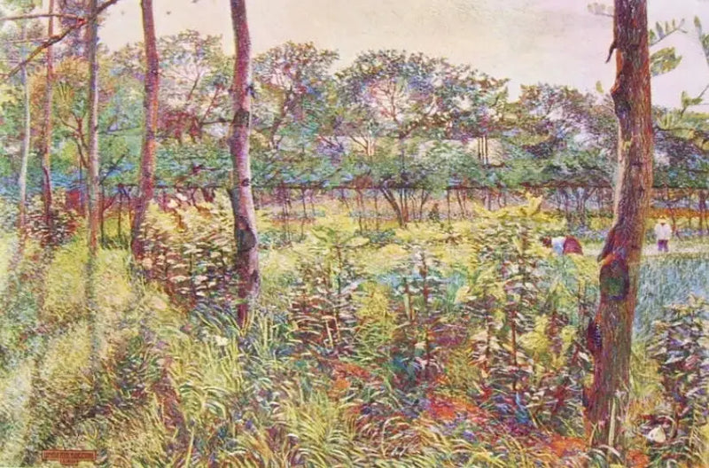 Lombard Countryside - Umberto Boccioni