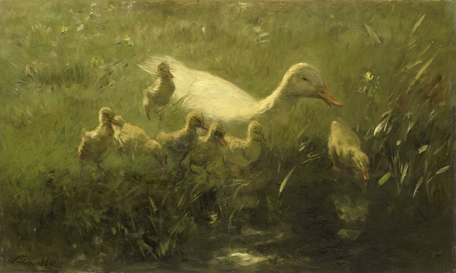 Canard blanc aux poussins - Willem Maris