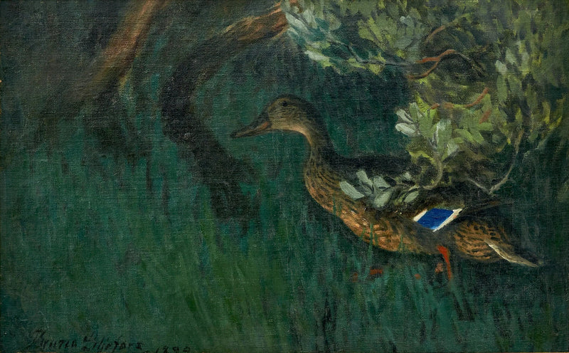 Mallard duck in the greenery - Bruno Liljefors