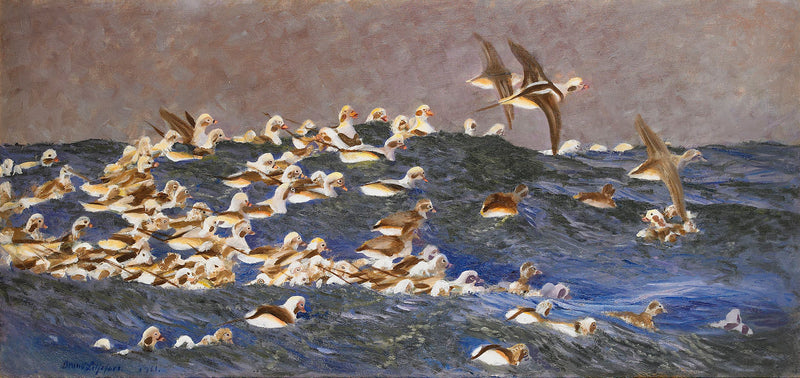 Long-tailed ducks in the outer archipelago - Bruno Liljefors
