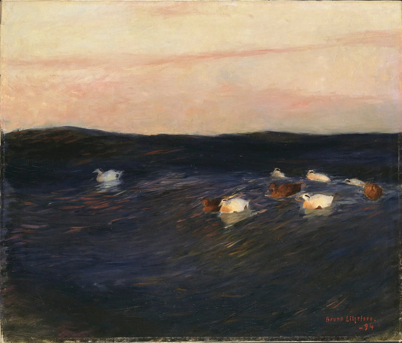 Eider ducks - Bruno Liljefors