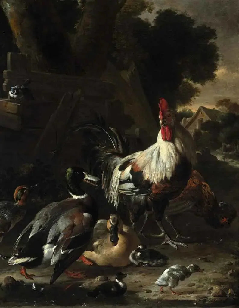 Ducks, chickens et autres volailles dans une cour - Melchior de Hondecoeter