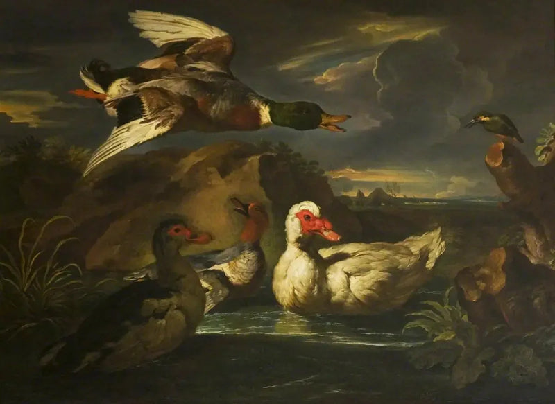 Wild ducks with kingfisher - Melchior de Hondecoeter