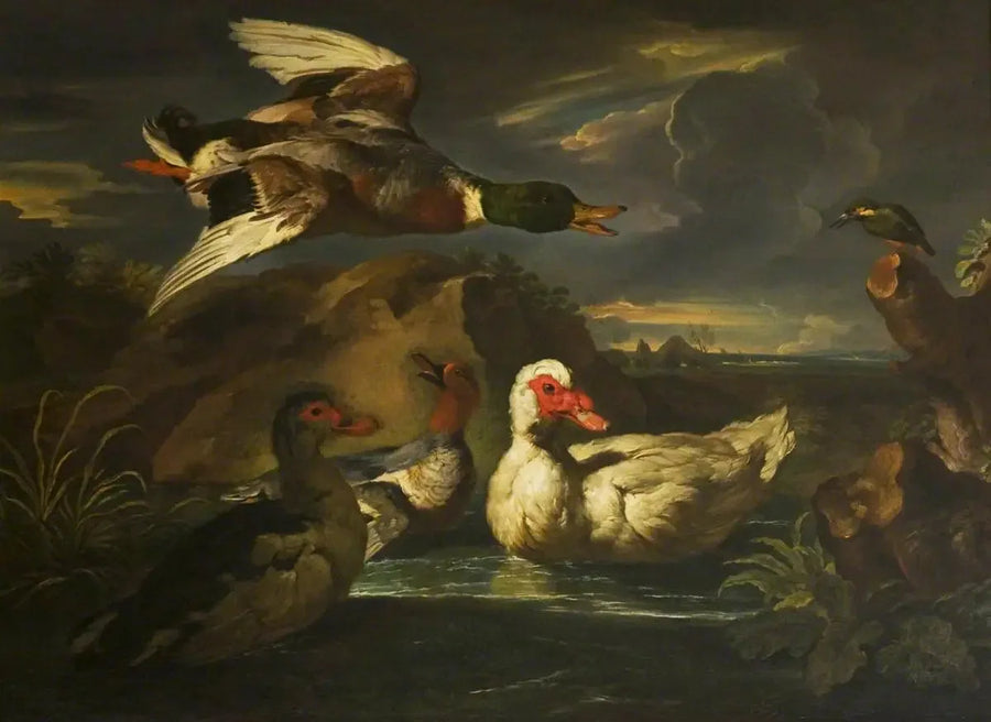 Wild ducks with kingfisher - Melchior de Hondecoeter