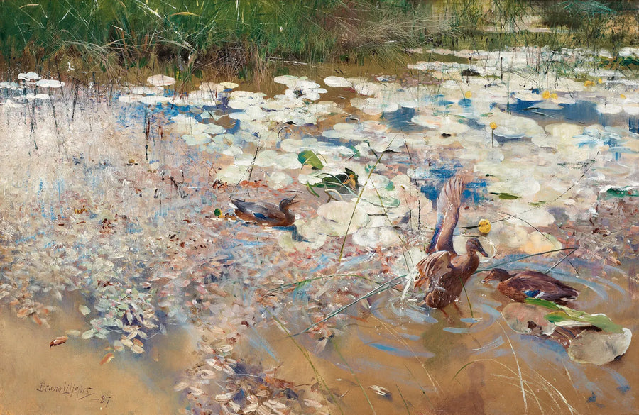 wild ducks - Bruno Liljefors