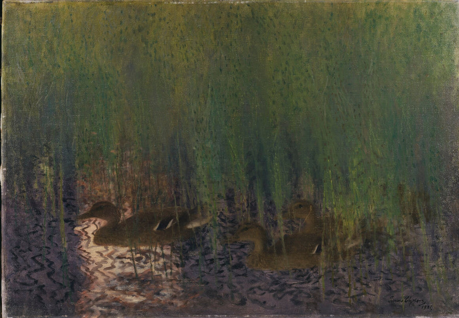 Wild ducks in ponytails - Bruno Liljefors