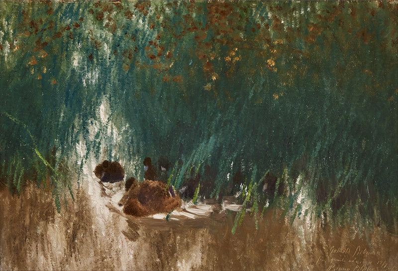 Mallard duck in the reeds - Bruno Liljefors