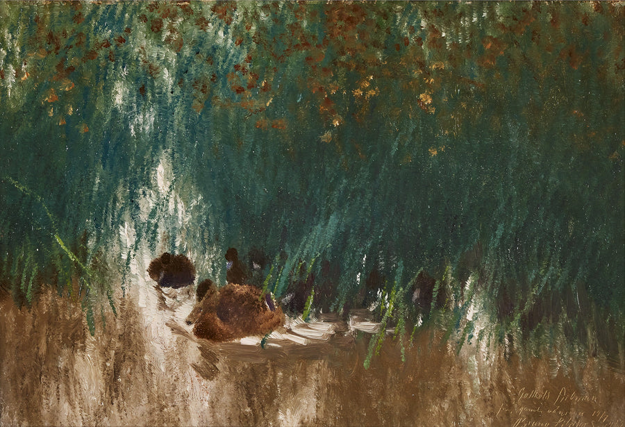Mallard duck in the reeds - Bruno Liljefors