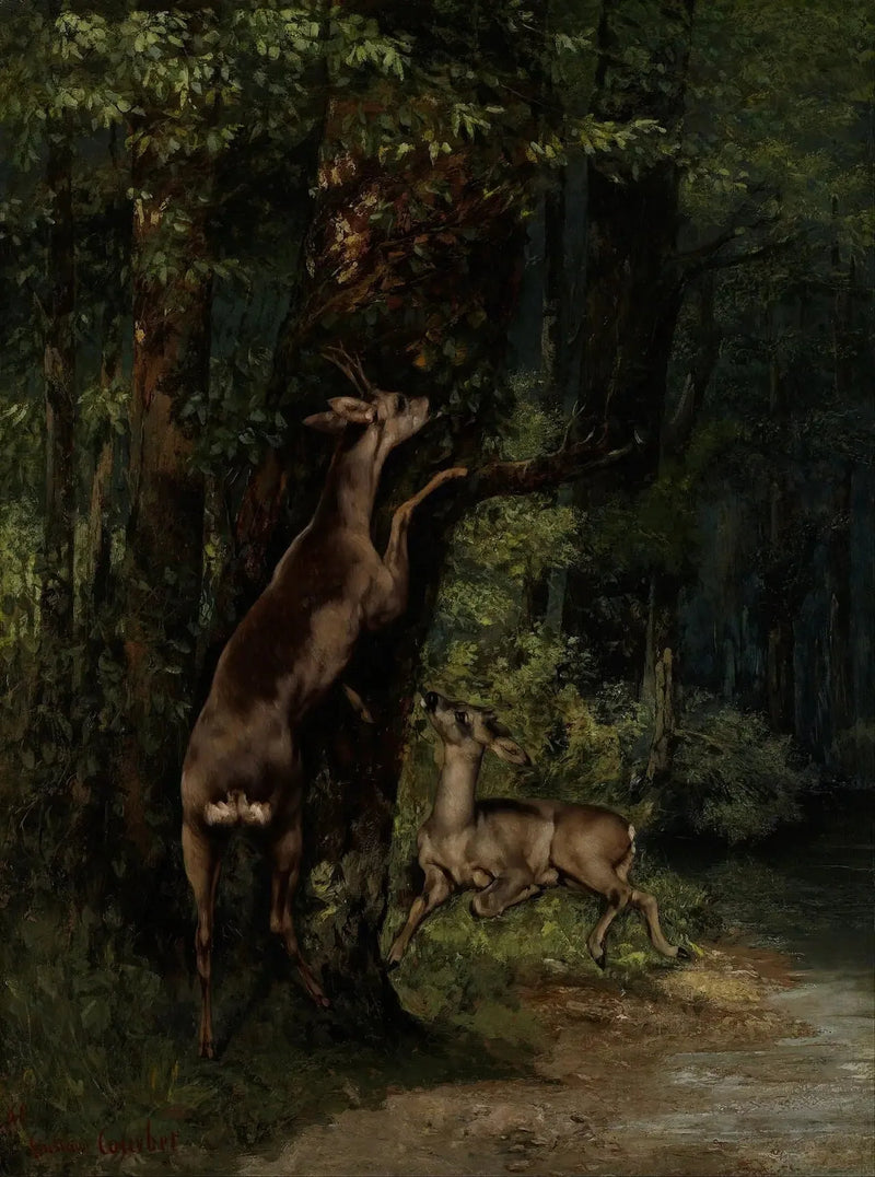 Deer in the Forest - Gustave Courbet