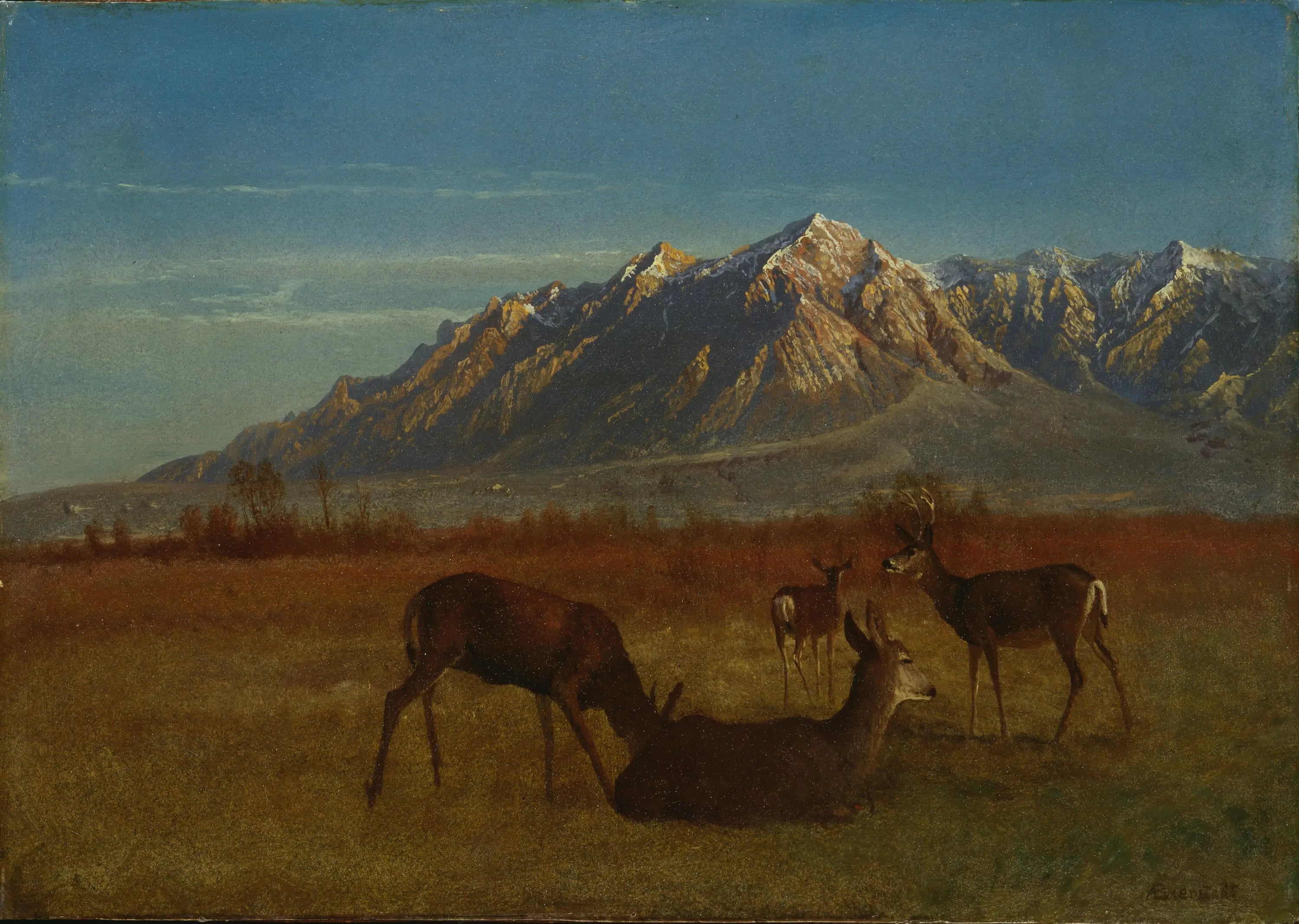 Cerf dans une maison de montagne - Albert Bierstadt - Alpha Reproduction