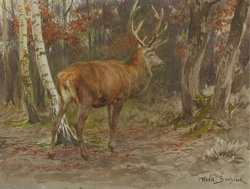 Vigilant Stag - Rosa Bonheur