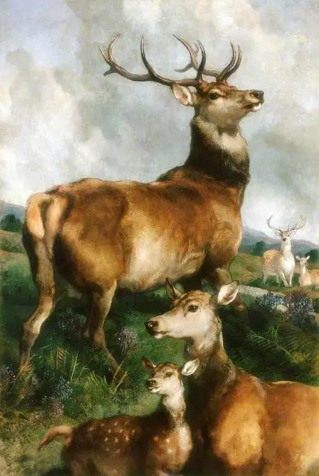 Deer of Chillingham Park, Northumberland - Edwin Henry Landseer