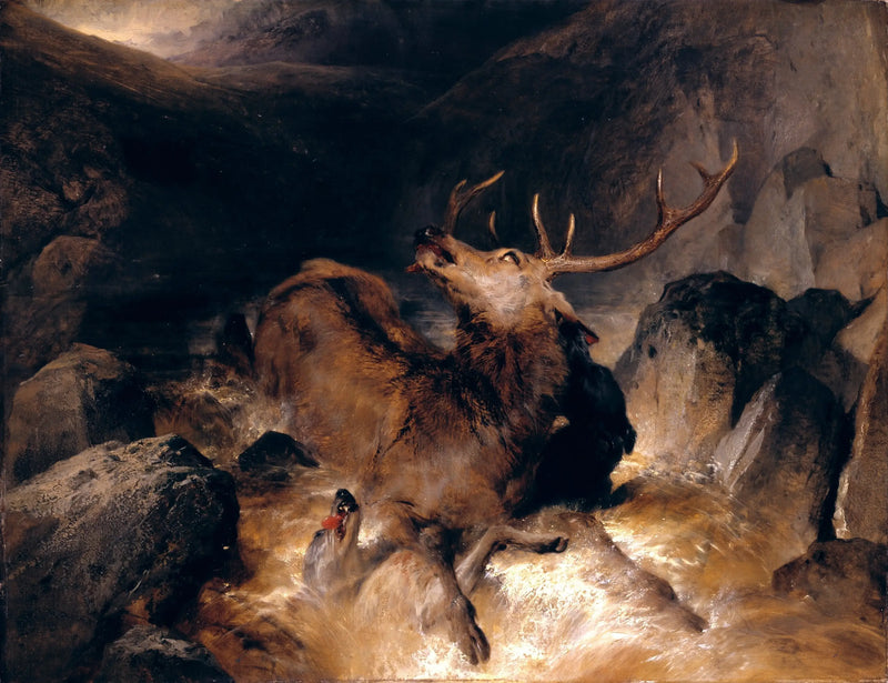 Deer and hunting dogs in a mountain stream - Edwin Henry Landseer