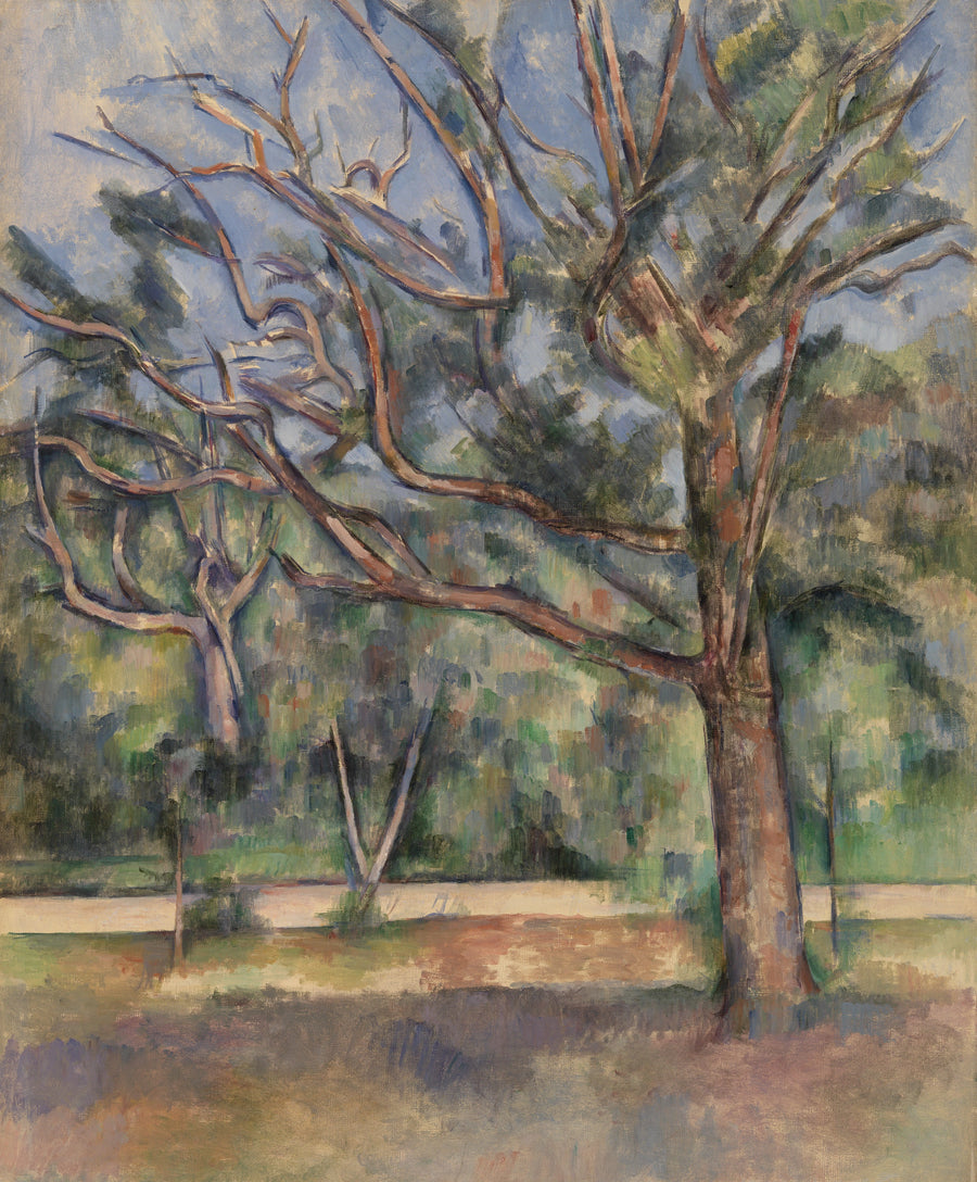 Trees and Road - Paul Cézanne