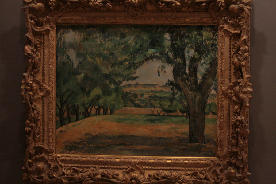 Surroundings of Jas de Bouffan - Paul Cézanne