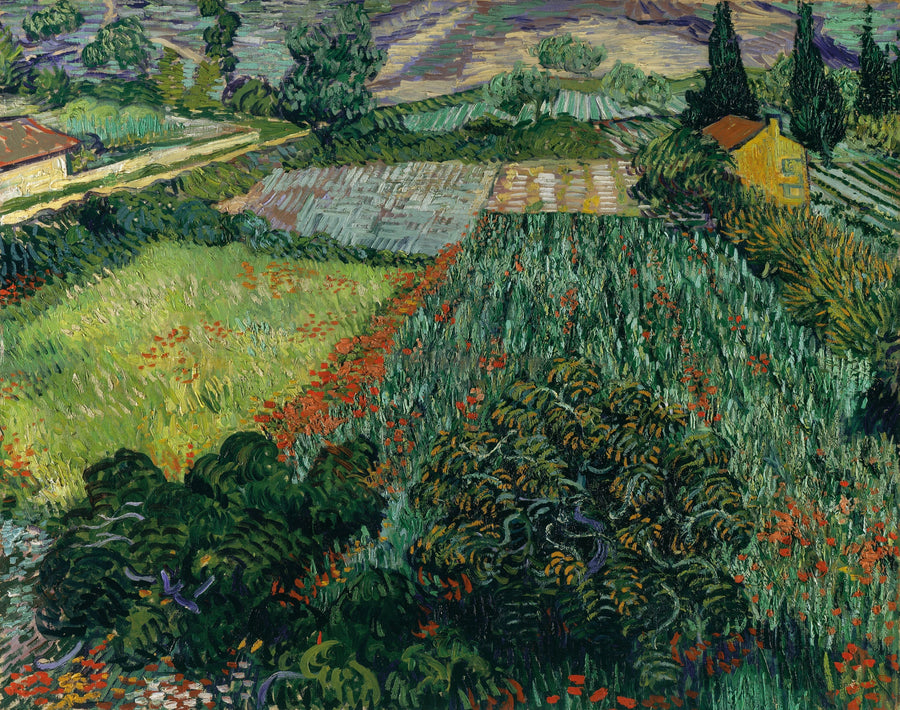 Field of Poppies - Vincent van Gogh