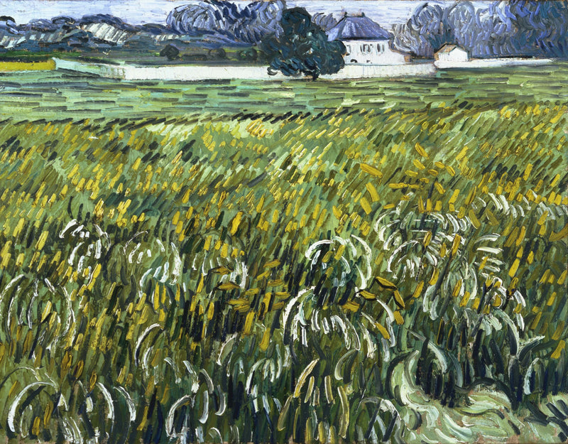 Wheat Field at Auvers with House - Vincent van Gogh