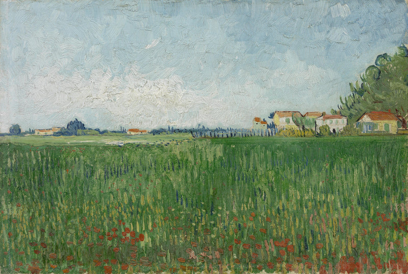 Field of Poppies - Vincent van Gogh