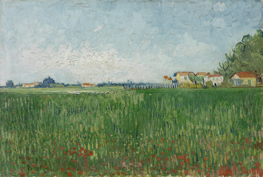 Field of Poppies - Vincent van Gogh