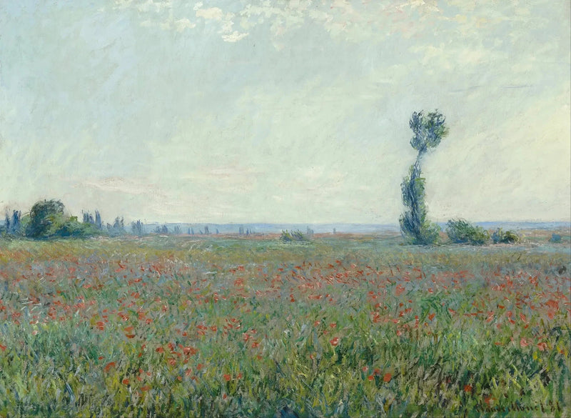 Poppy field W677 - Claude Monet