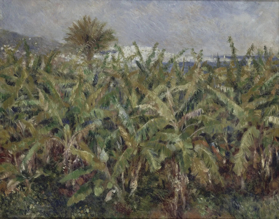 banana field - Pierre-Auguste Renoir