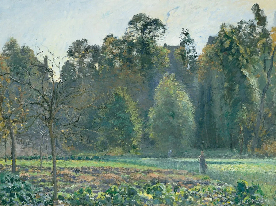 Cabbage Field, Pontoise - Camille Pissarro