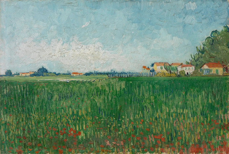 Field of Poppies - Vincent van Gogh