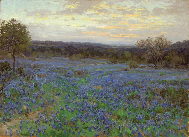 Blue Lupin Field at Sunset - Julian Onderdonk