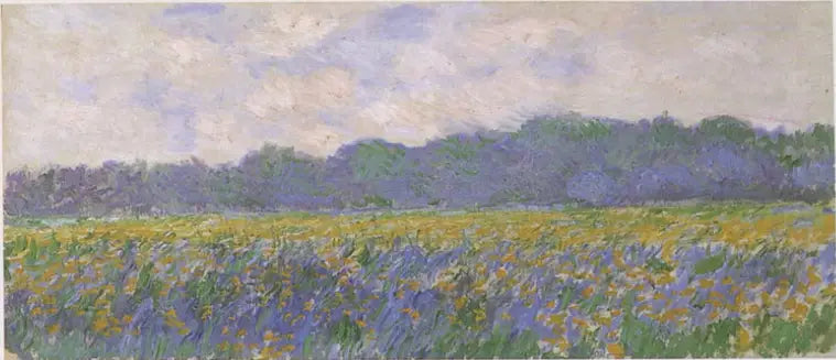 Field of Yellow Irises at Giverny - Claude Monet