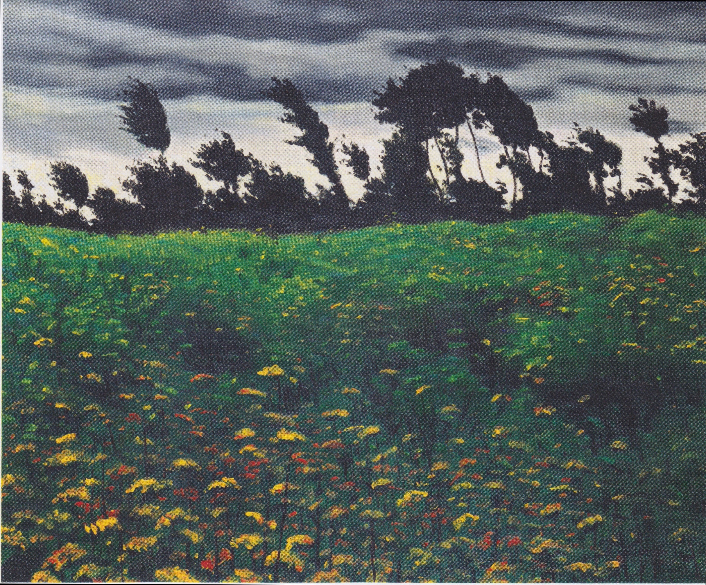 Flower Field - Félix Vallotton