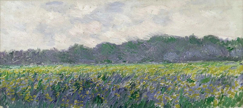 Yellow iris field in Giverny W1137 - Claude Monet