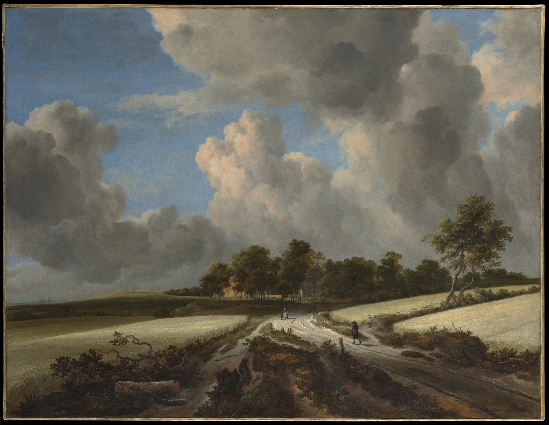 Champs de blé - Jacob van Ruisdael