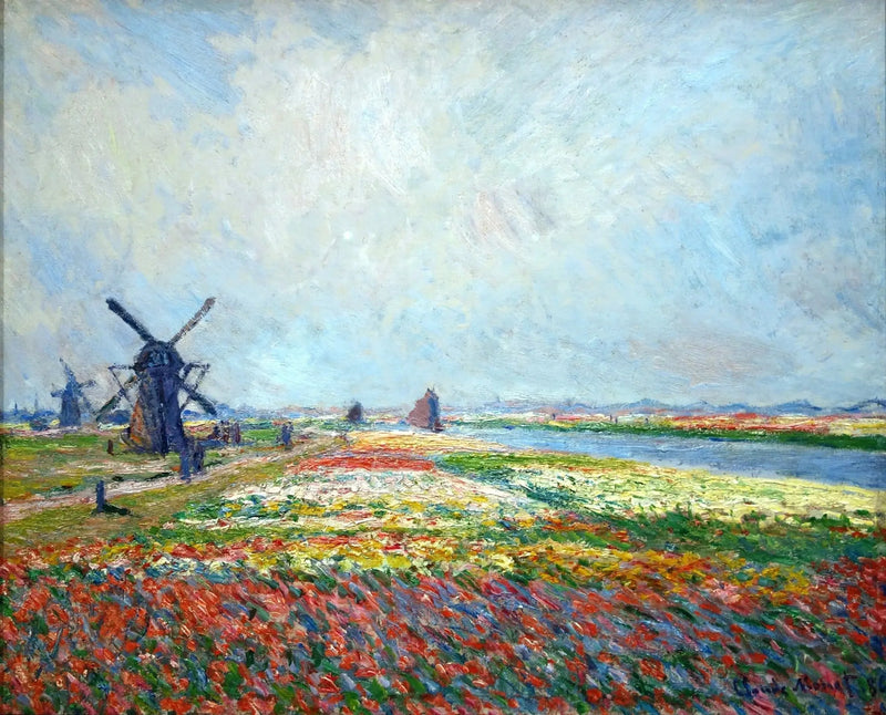 Tulip fields near The Hague - Claude Monet