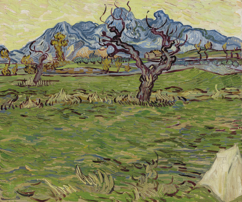 Fields near the Alpilles - Vincent van Gogh