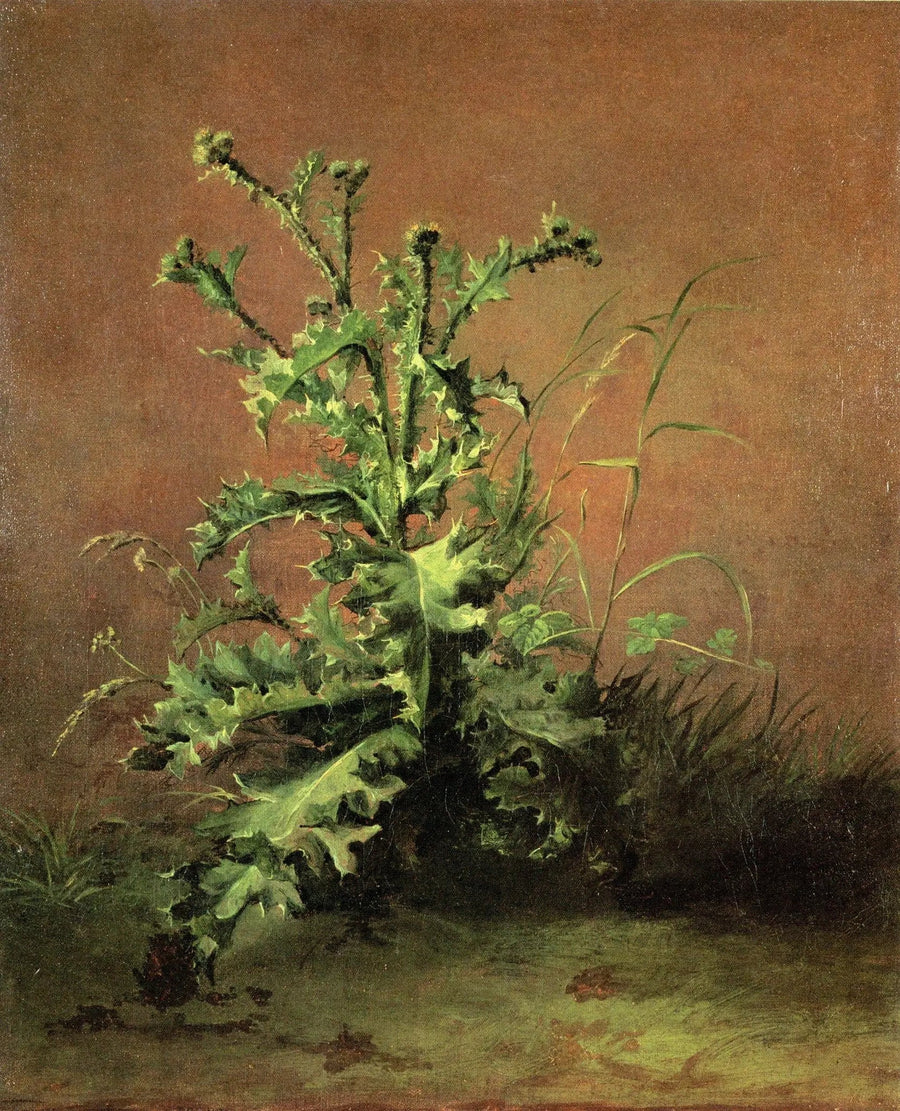 Thistles - Édouard Manet