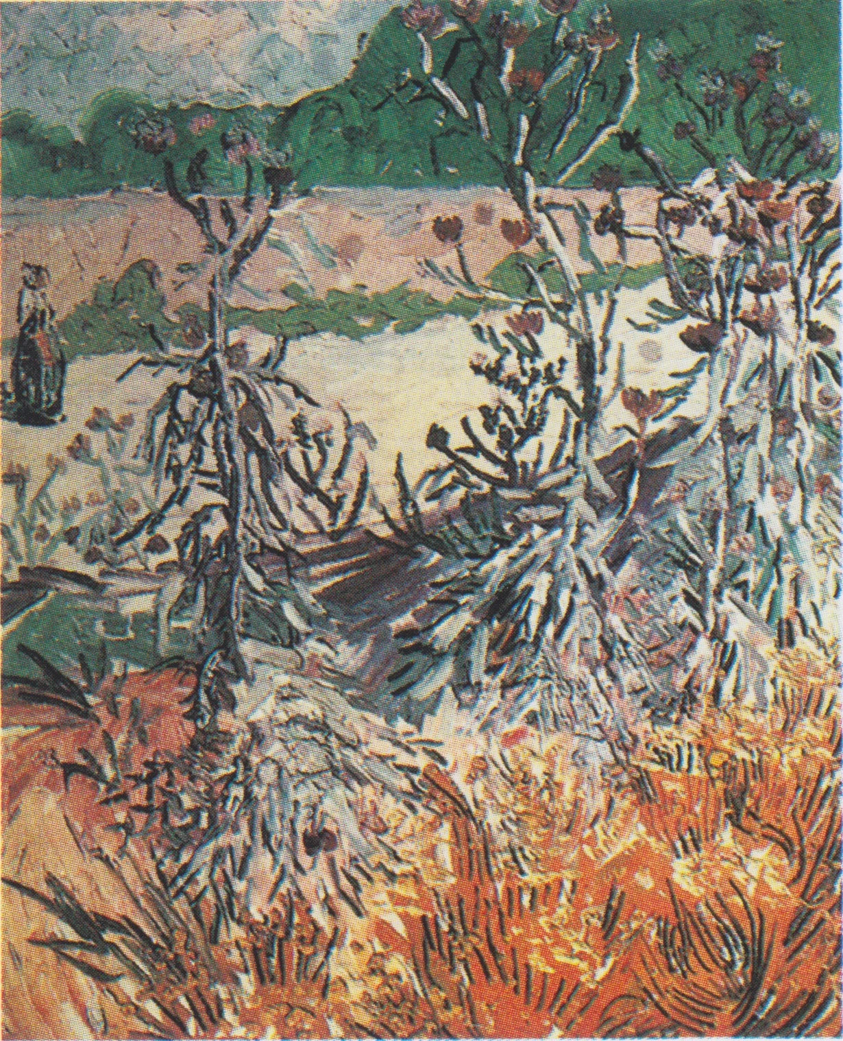 Chardons F447 de Vincent van Gogh, peints à Arles en août 1888