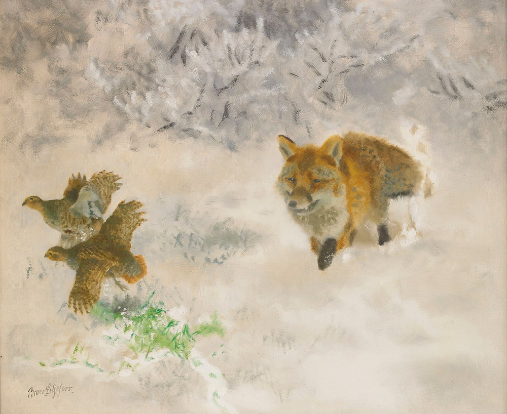 Fox and black grouse hunting in a winter landscape - Bruno Liljefors