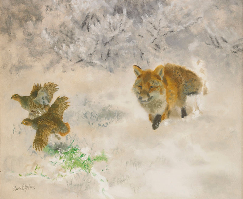 Fox and black grouse hunting in a winter landscape - Bruno Liljefors