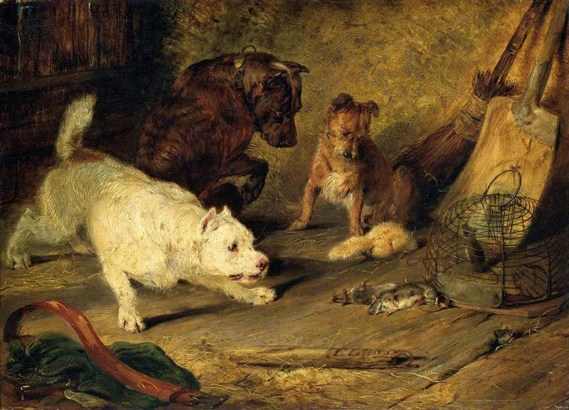 Rat Hunters - Edwin Henry Landseer