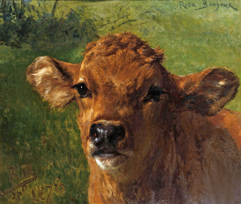 Head of a Calf - Rosa Bonheur