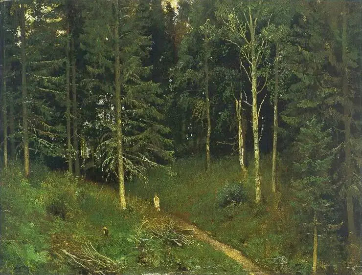Path in the Forest (Spruce Forest) - Ivan Chichkine