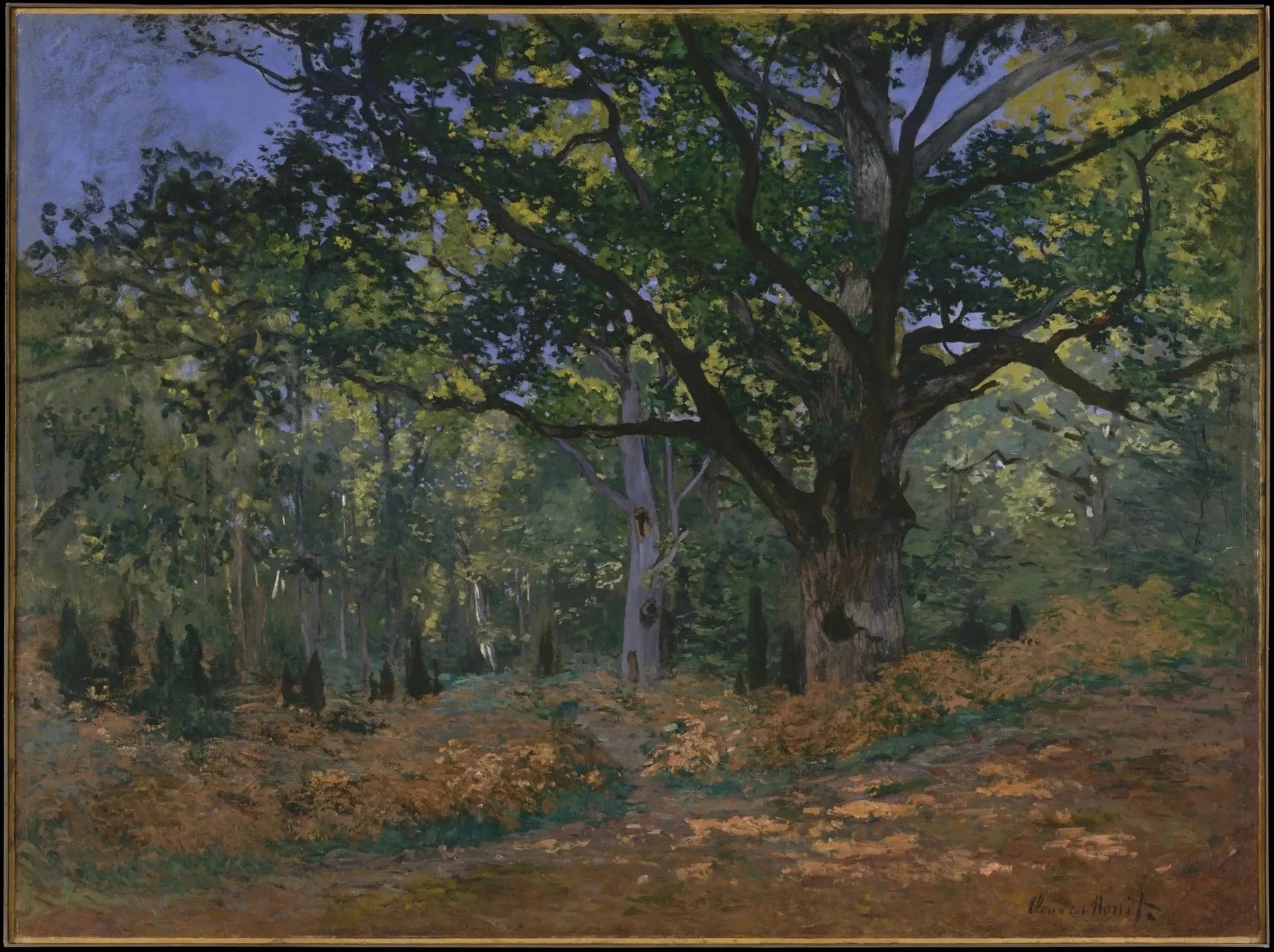 Le Chêne de Bodmer dans la forêt de Fontainebleau W60 par Claude Monet, 1865, Metropolitan Museum of Art
