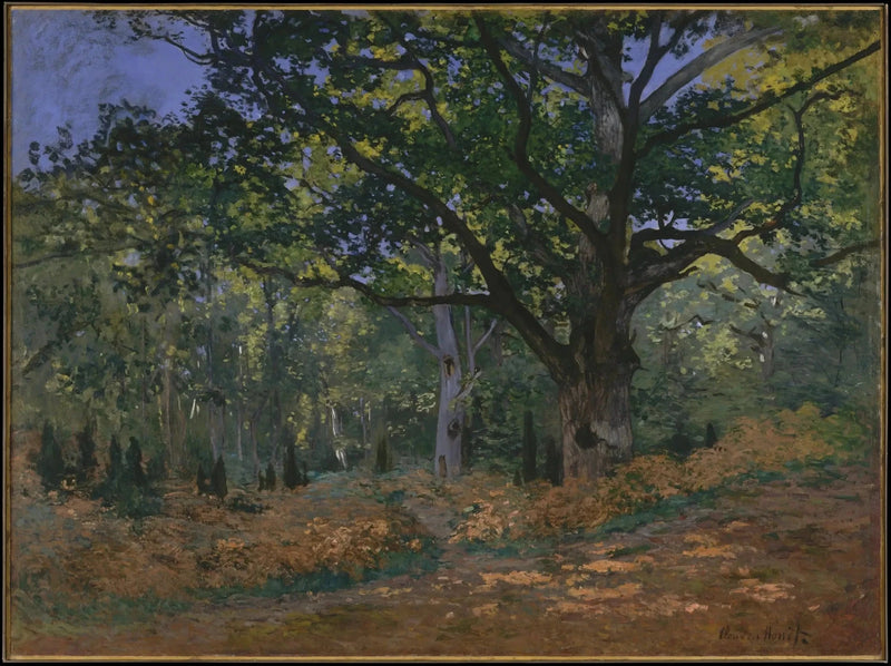 The Bodmer Oak, Fontainebleau forest W60 - Claude Monet