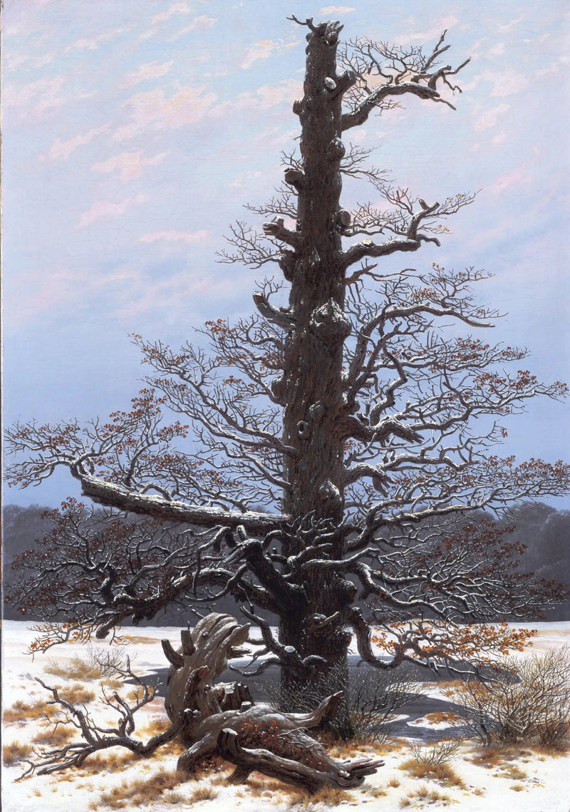 Oak Under the Snow - Caspar David Friedrich